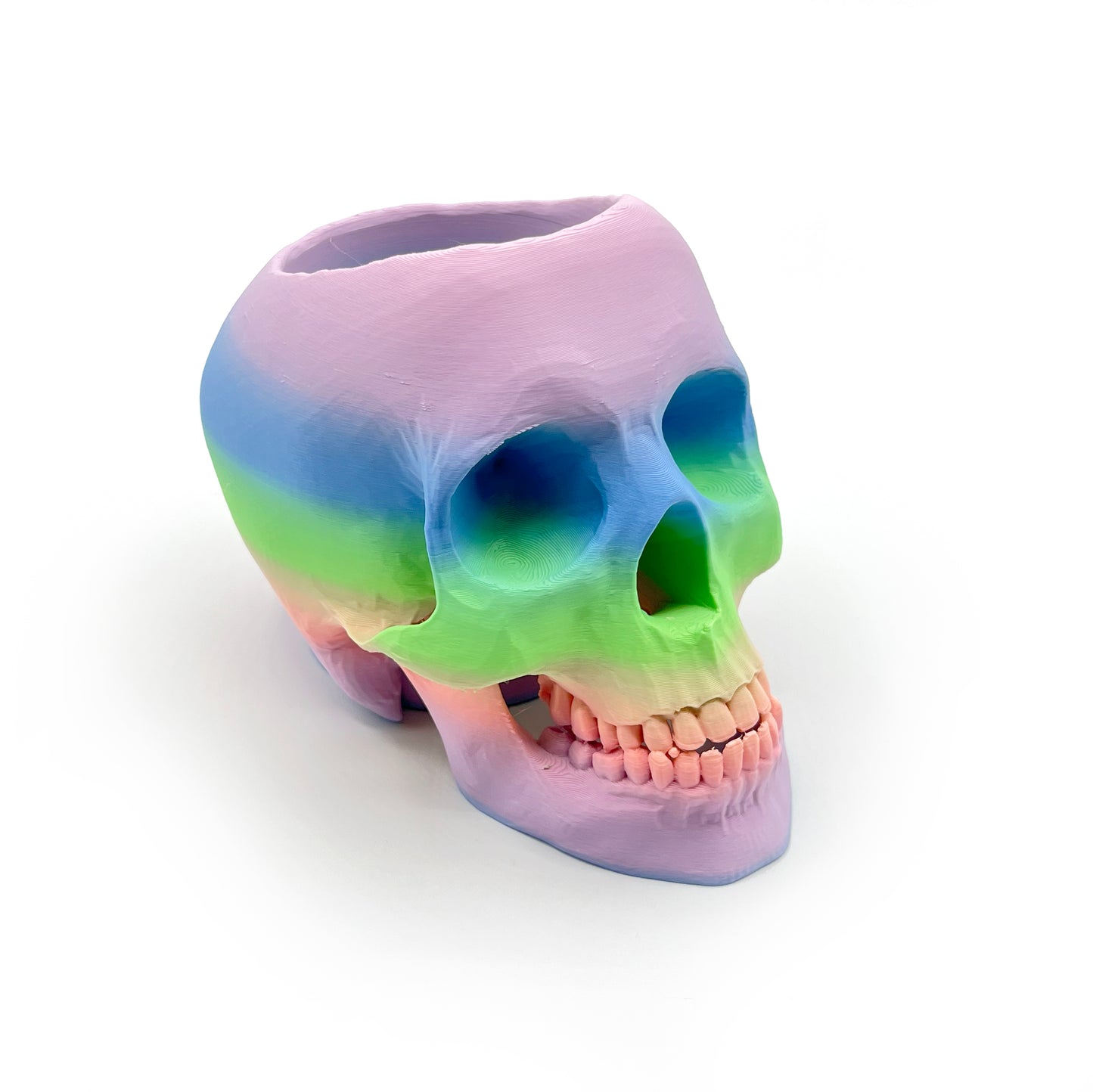 3D Printed Skull Pen Holder – Bookish Decor for Desk or Vanity | Fantasy-Inspired Organizer