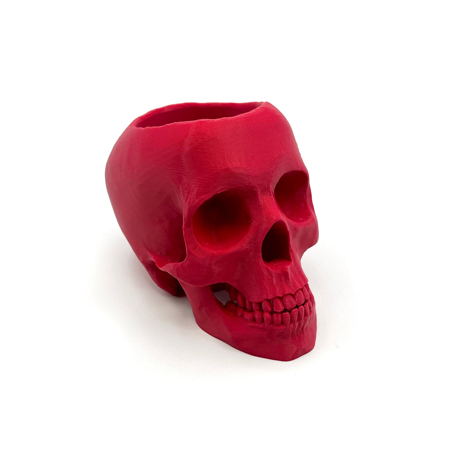3D Printed Skull Pen Holder – Bookish Decor for Desk or Vanity | Fantasy-Inspired Organizer